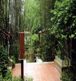 竹子在庭院设计中应用