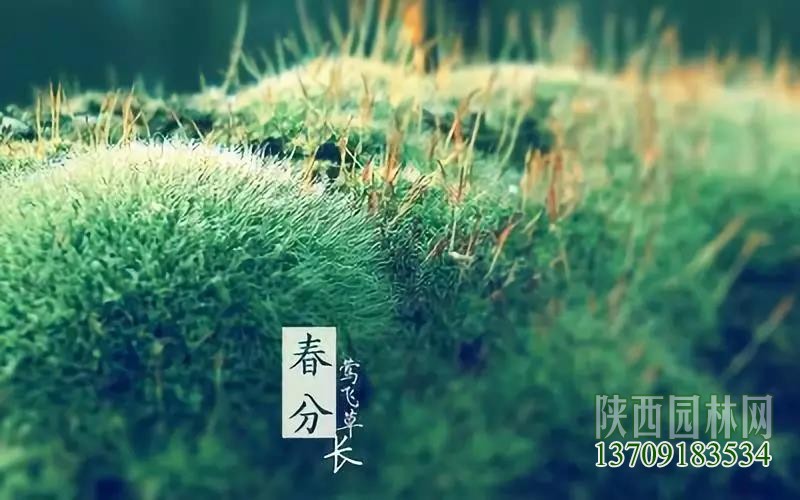 微信图片_20190322081120