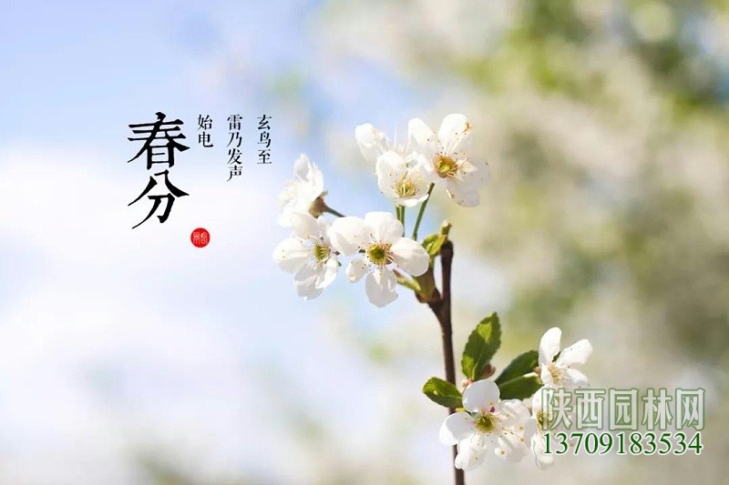 微信图片_20190322081539