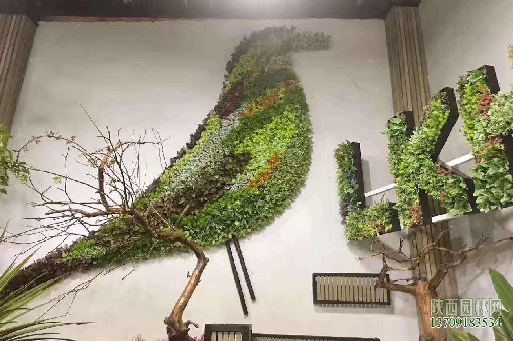 室外墙面绿化——“植物墙绿化”1