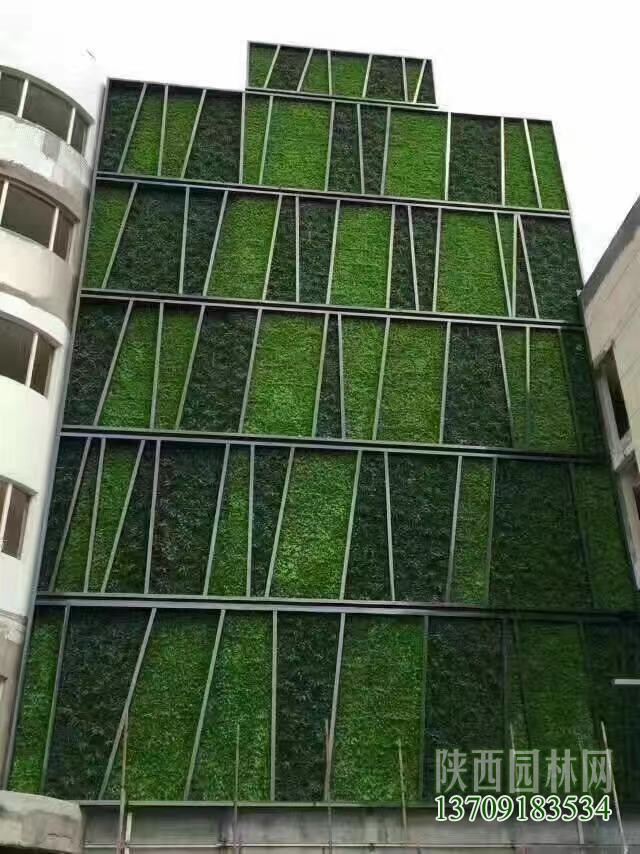 镇江绿植墙仿真植物,绿植墙