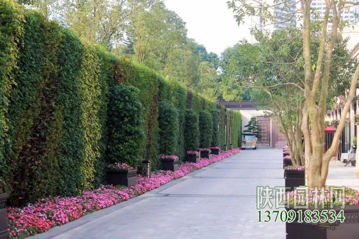 塑料花草装饰绿植墙价格,绿植墙