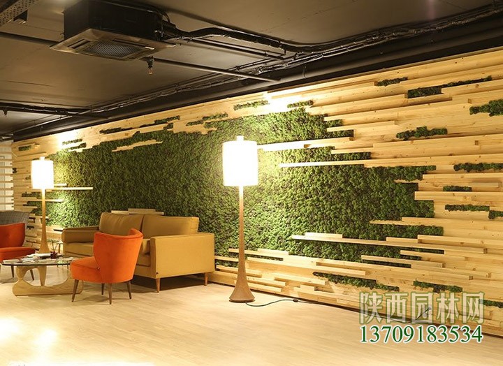 永生苔藓植物装饰墙面效果图